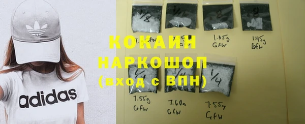 гашик Алапаевск