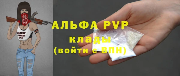 ПСИЛОЦИБИНОВЫЕ ГРИБЫ Медвежьегорск