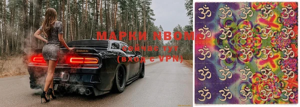 ПСИЛОЦИБИНОВЫЕ ГРИБЫ Медвежьегорск