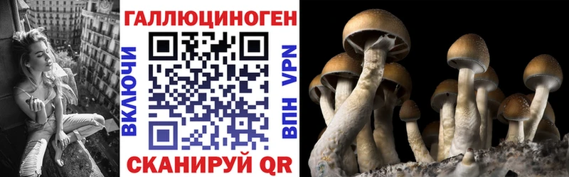 мега зеркало  Гагарин  Псилоцибиновые грибы GOLDEN TEACHER  где можно купить наркотик 