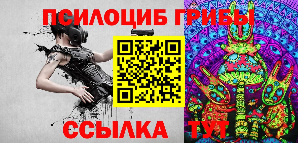 Гагарин  Галлюциногенные грибы Magic Shrooms  Псилоцибиновые грибы Psilocybine cubensis  Вход с VPN 