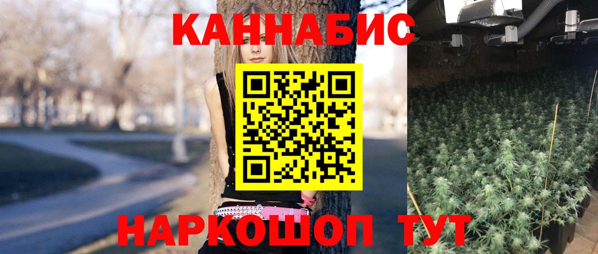 Марихуана Amnesia  Гагарин  Марихуана конопля 